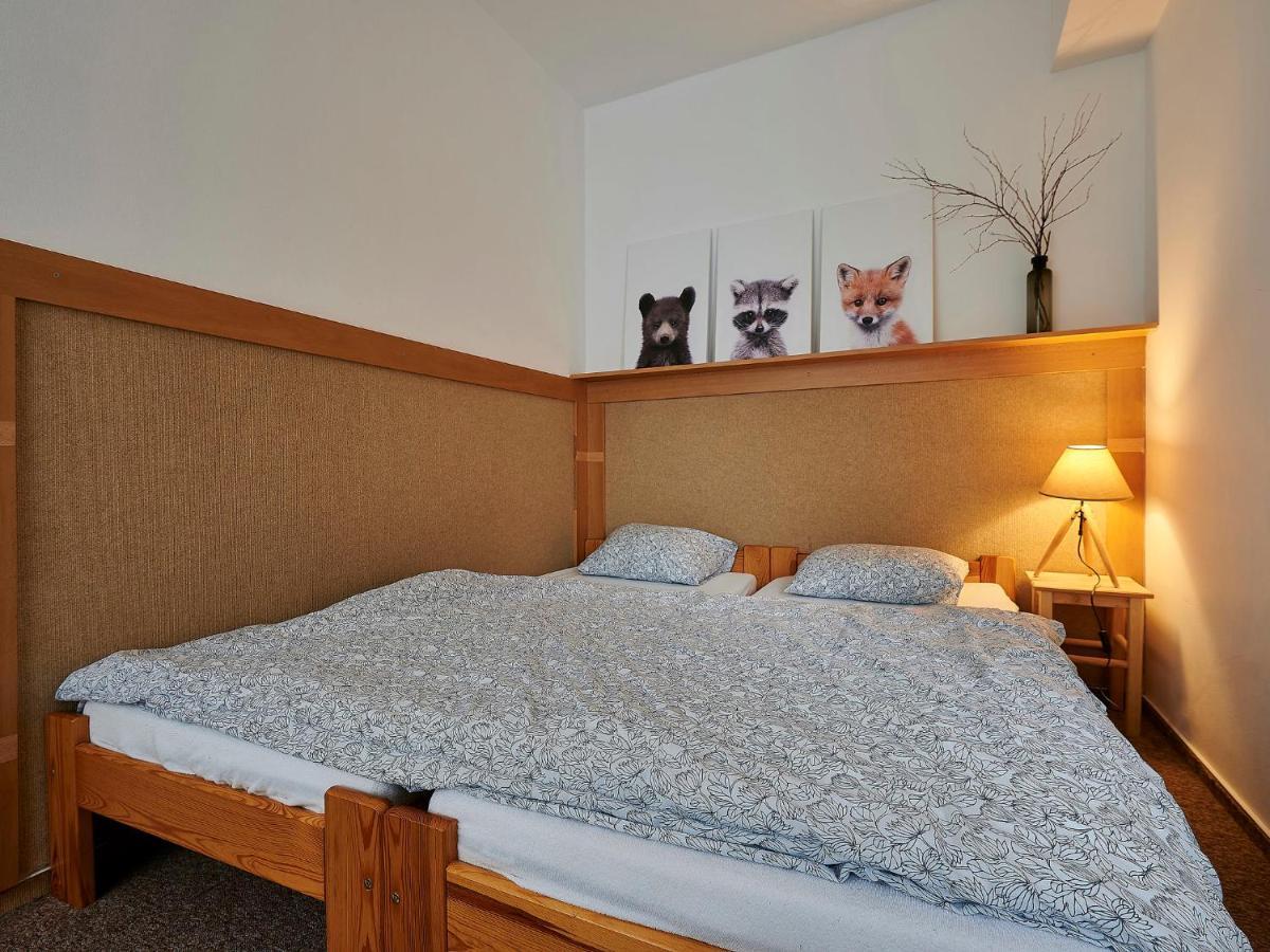 Apartment Harrachovka - Hra102 By Interhome Buitenkant foto